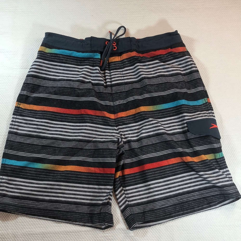 Speedo Board Shorts Colorful Stripes